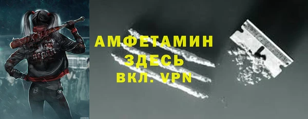 ECSTASY Алзамай