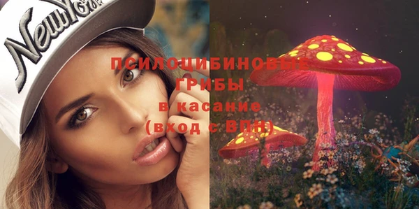 ECSTASY Алзамай