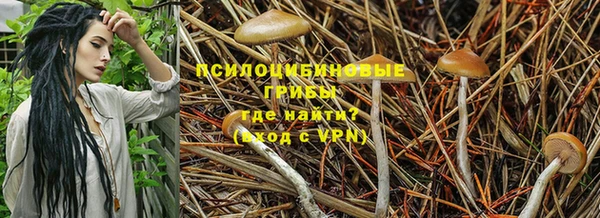 соль курить ск Абаза