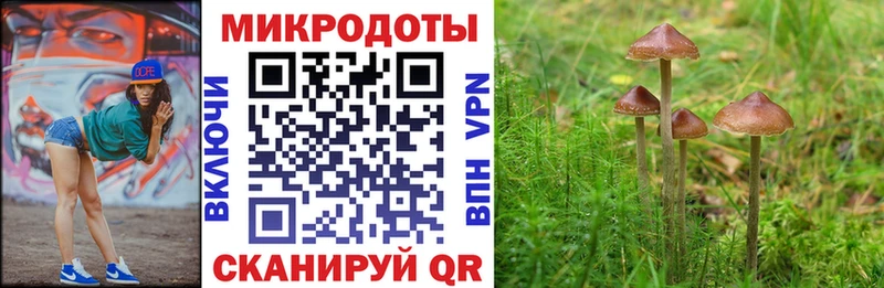 Галлюциногенные грибы ЛСД Енисейск